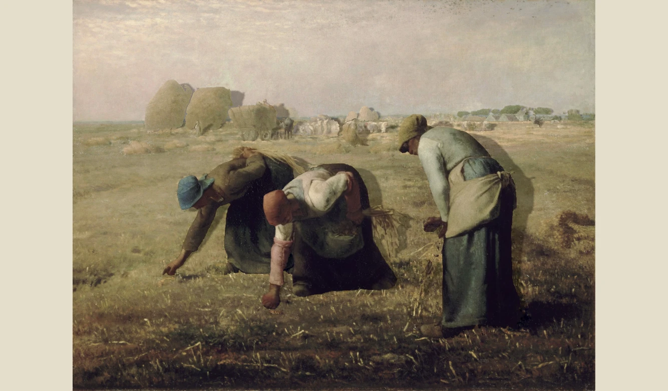 Three women gathering wheat in a golden field.
